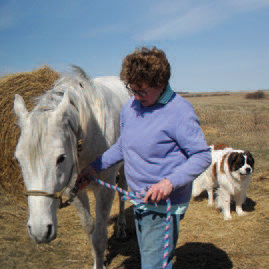 Gillian cares for a horse at a farm
